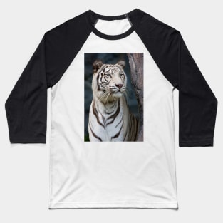 White Tiger portrait Baseball T-Shirt